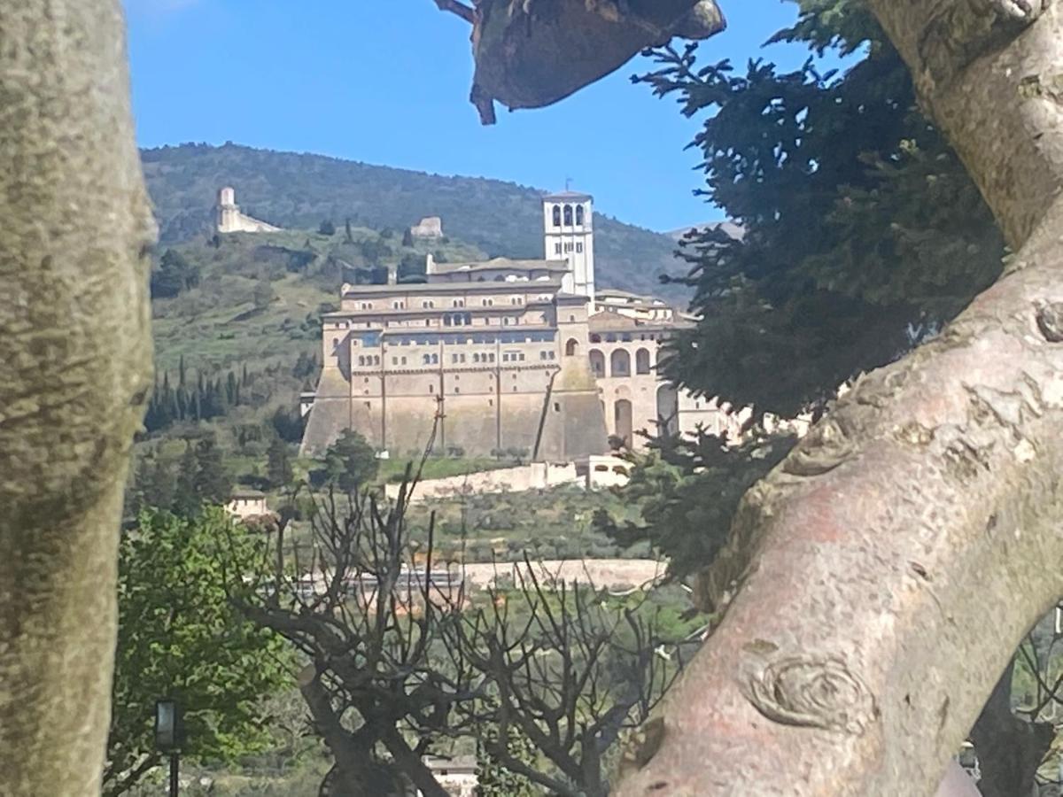 Agriturismo Il Girasole Assisi Eksteriør bilde