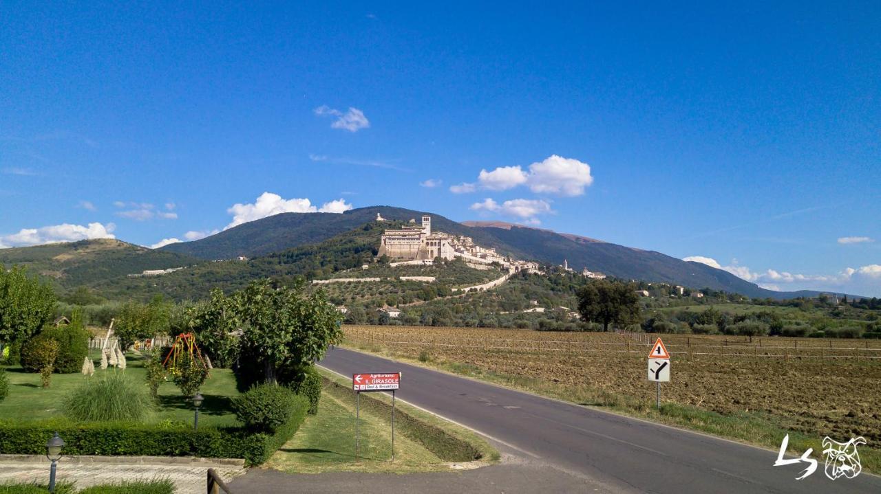 Agriturismo Il Girasole Assisi Eksteriør bilde