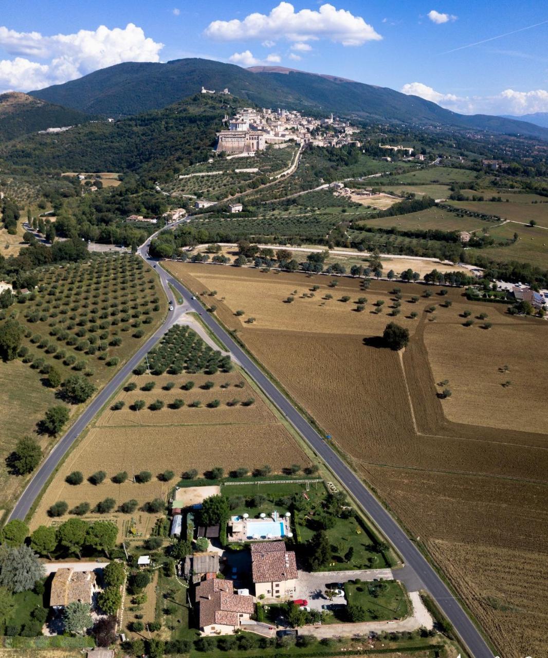 Agriturismo Il Girasole Assisi Eksteriør bilde
