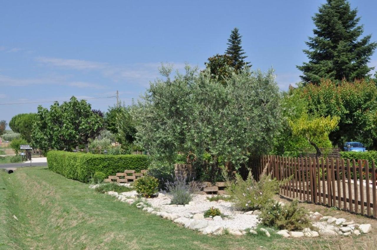 Agriturismo Il Girasole Assisi Eksteriør bilde