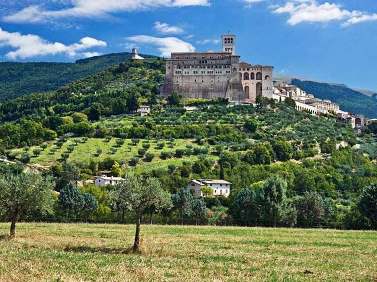 Agriturismo Il Girasole Assisi Eksteriør bilde